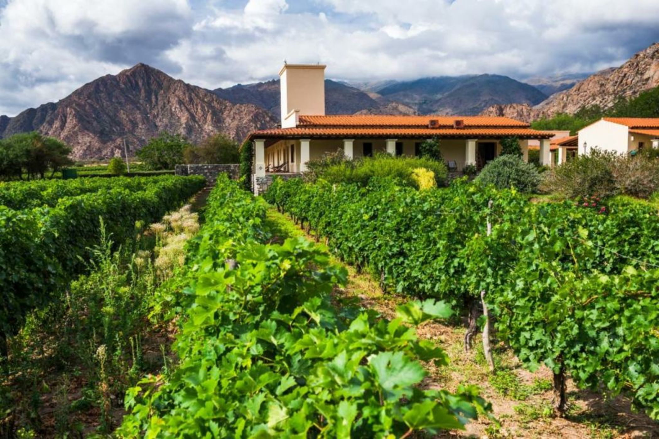 Viñas De Cafayate Wine Resort