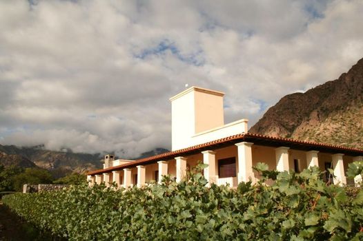 Viñas De Cafayate Wine Resort