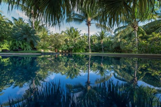 Toca da Coruja - Eco Luxury Retreat