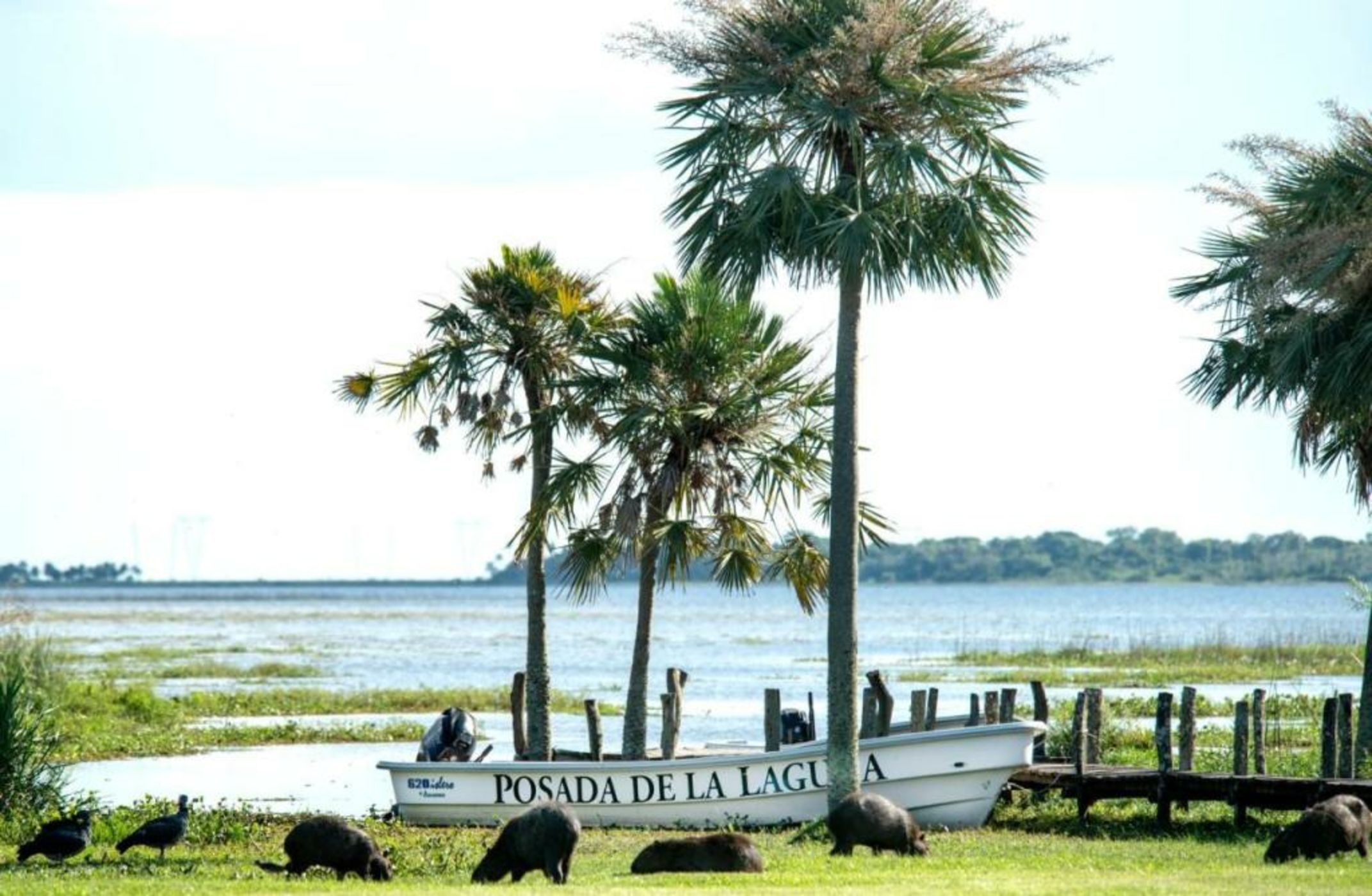 Posada de la Laguna