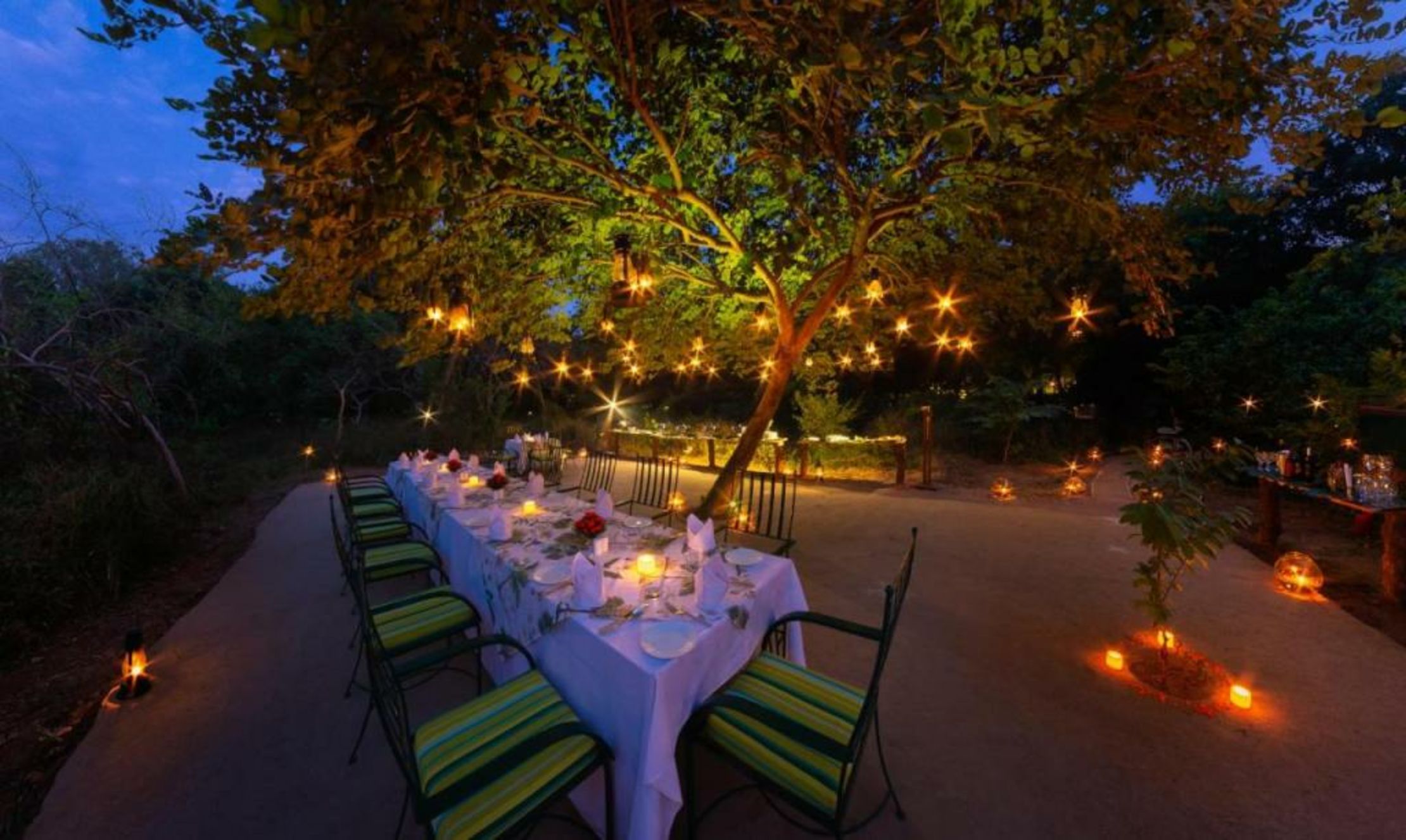 The Maharaja's Lodge, Ranthambore