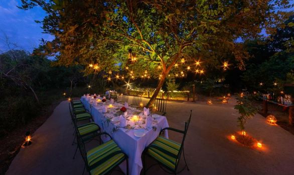 The Maharaja's Lodge, Ranthambore