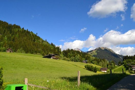 Hotel Le Grand Chalet Gstaad