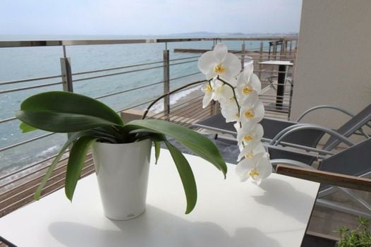 Villa Azur