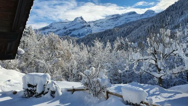 B&B Chalet la Croisée