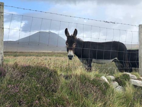 Teach Cruachan Large-Group Holiday Home