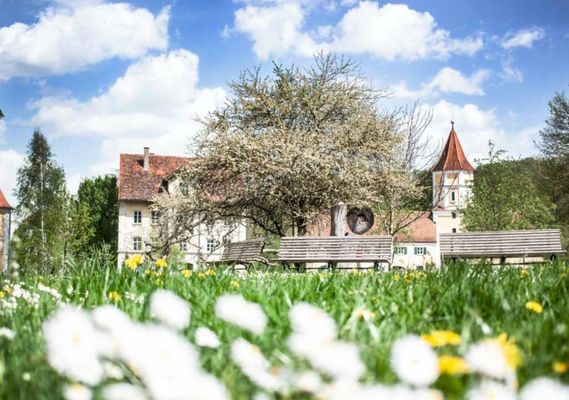 Hotel Schloss Blumenthal