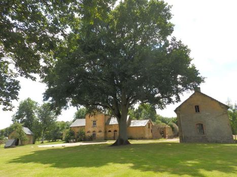 Château Du Pin - Teritoria