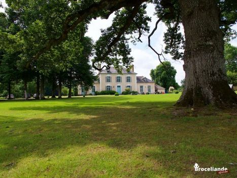 Château Du Pin - Teritoria
