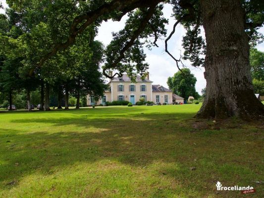Château Du Pin - Teritoria