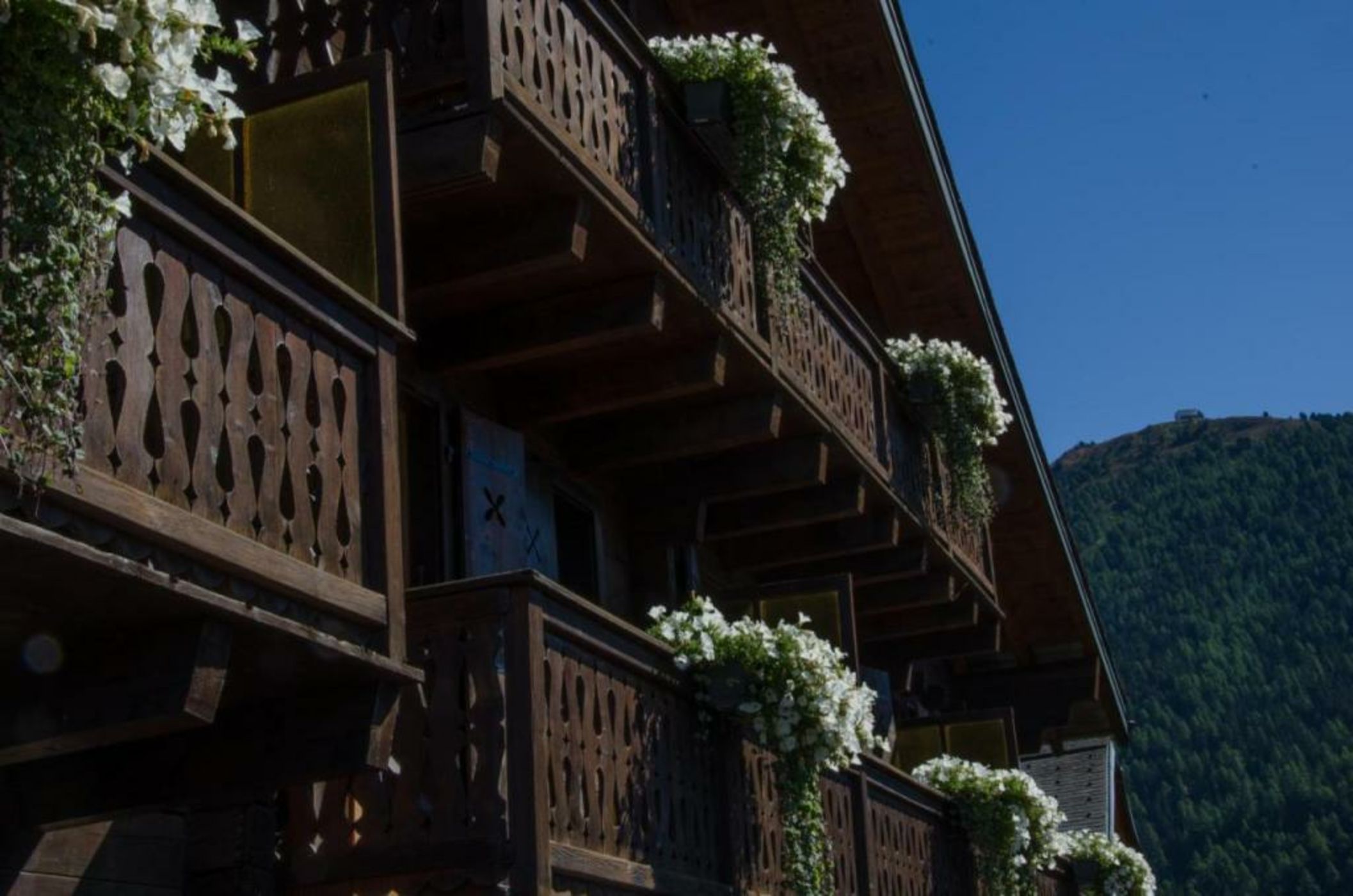 Hôtel Le Grand Chalet Favre
