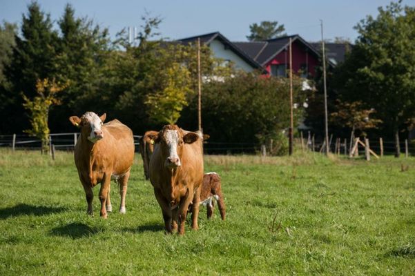 Landgasthof Gut Marienbildchen
