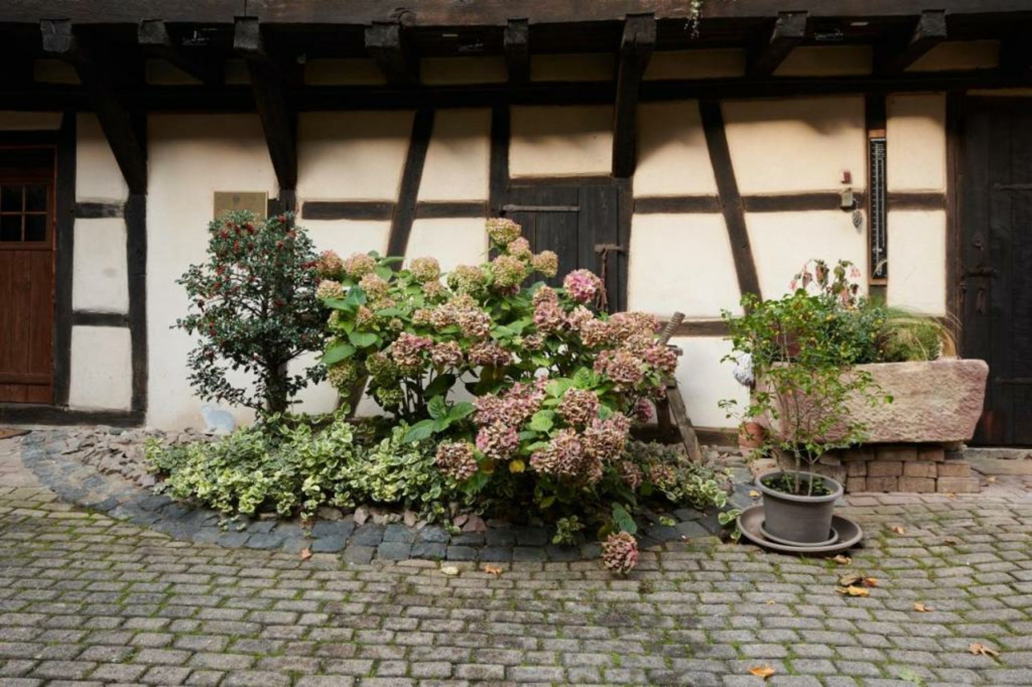 La Cour de Lise