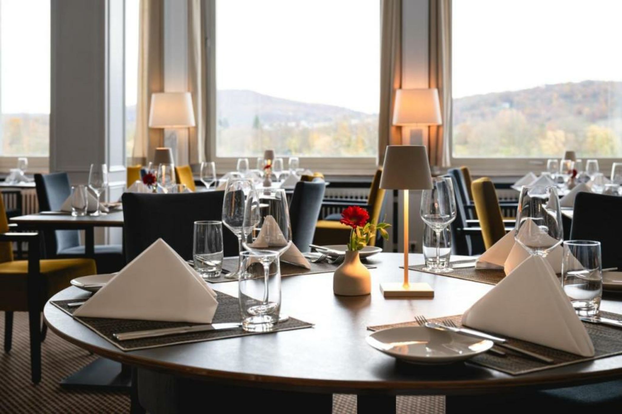 Rheinhotel Dreesen