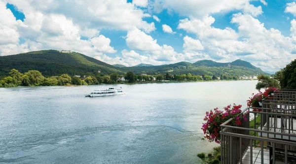 Rheinhotel Dreesen