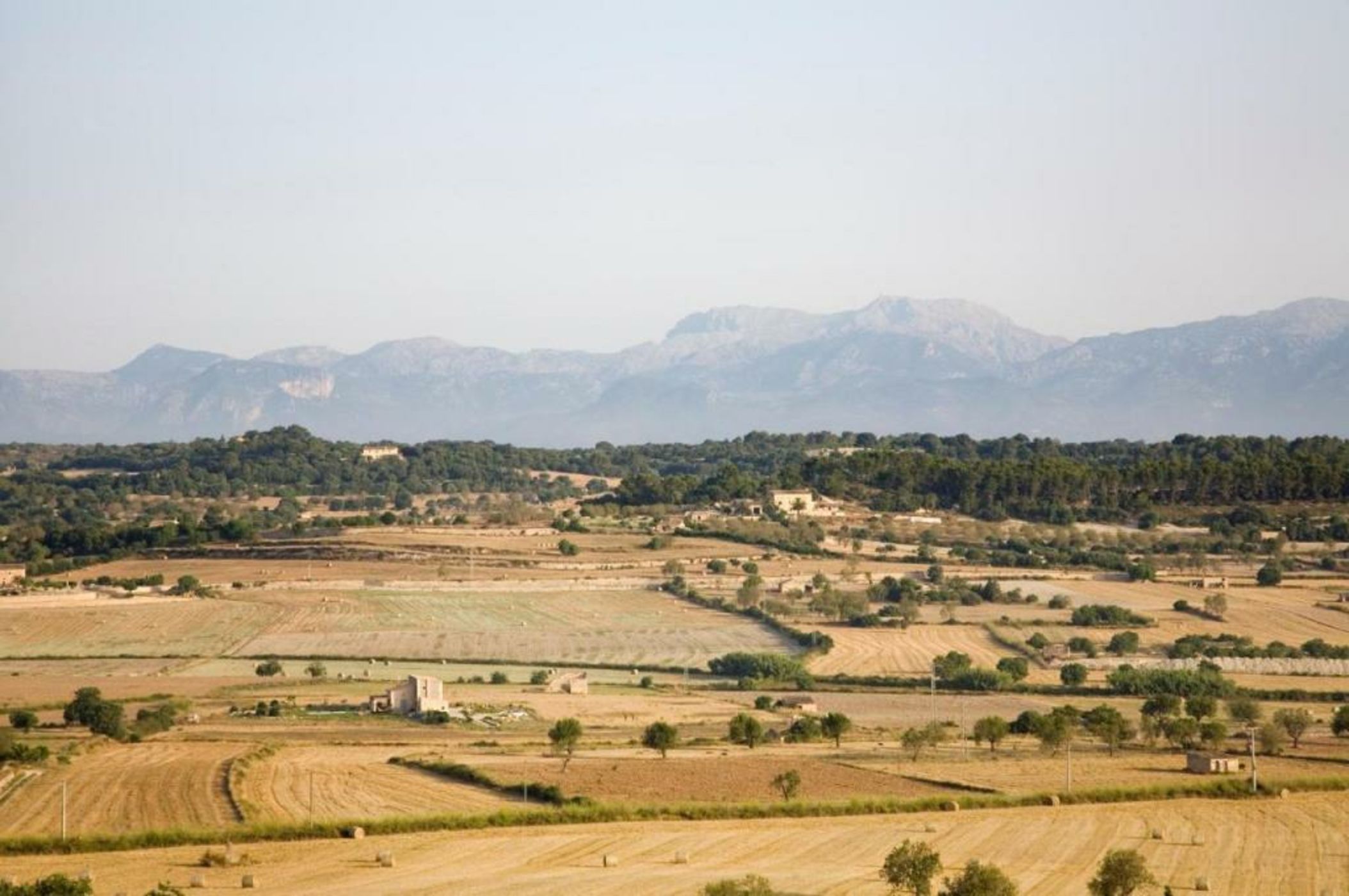 Agroturismo Sa Rota d' en Palerm by MHR