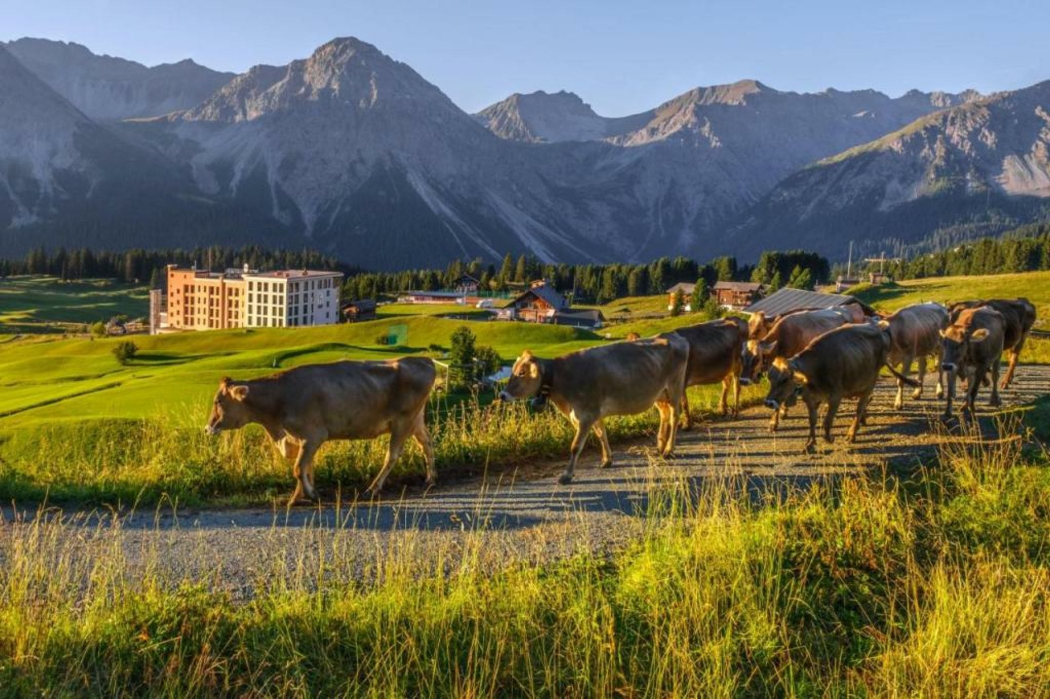Golf- & Sporthotel Hof Maran