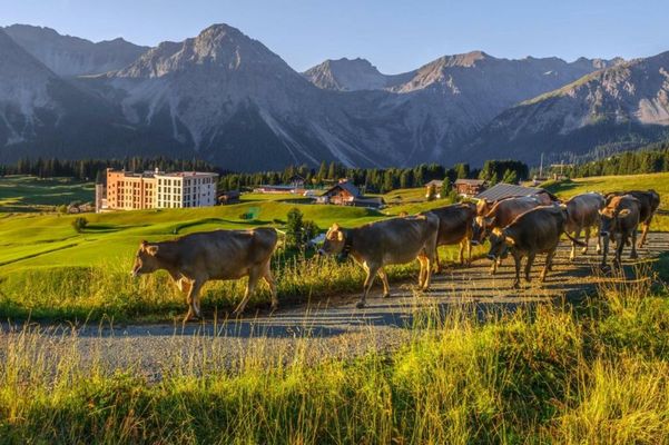 Golf- & Sporthotel Hof Maran