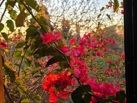Agroturismo Finca Son Jorbo - Adults only