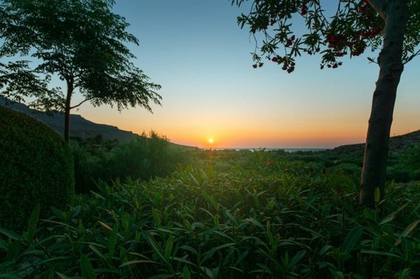 Yiannis Retreat