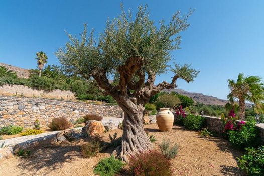 Yiannis Retreat