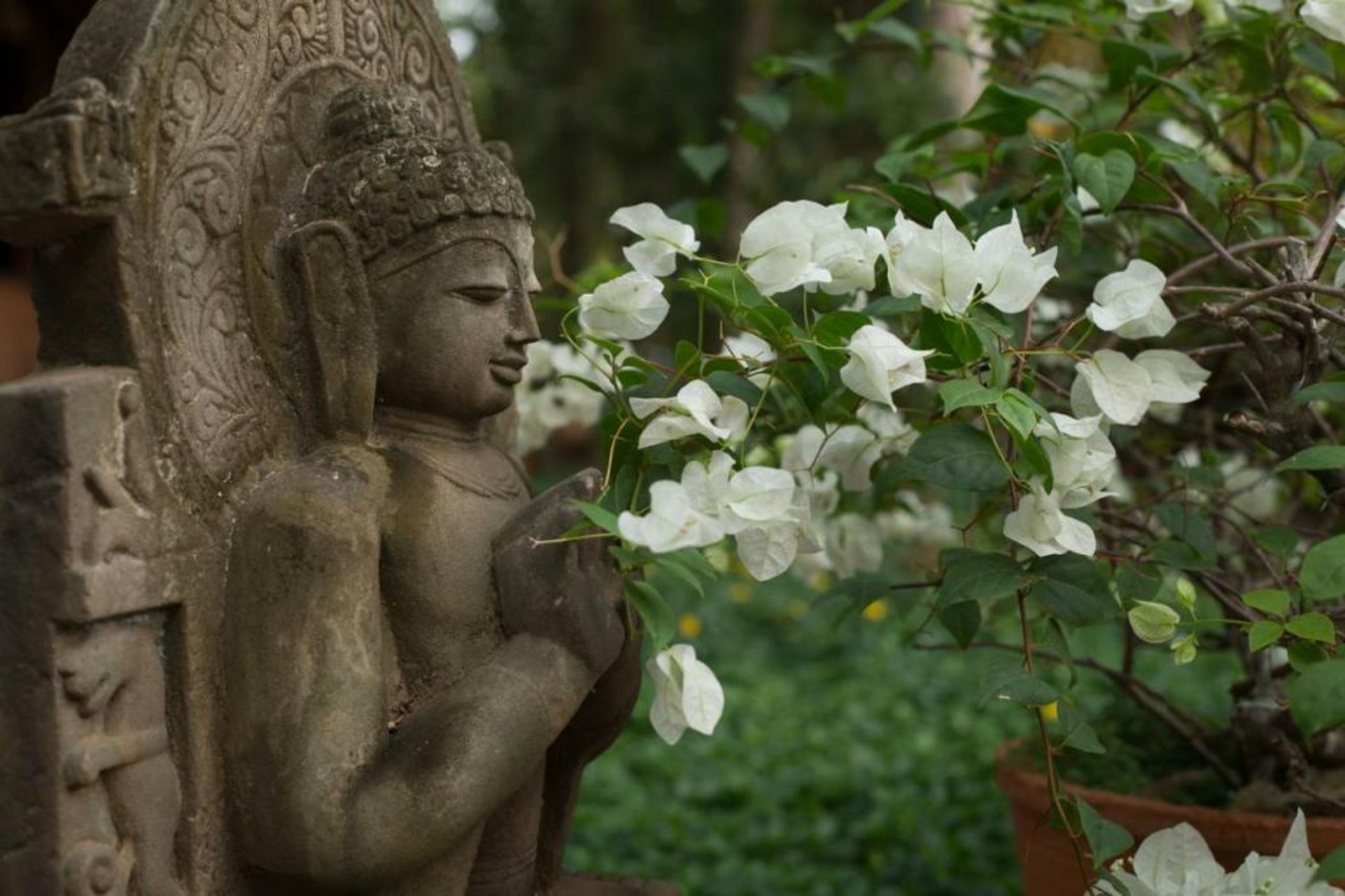 Somatheeram Ayurveda village