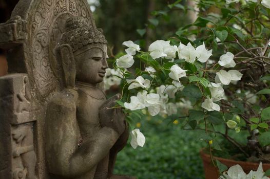 Somatheeram Ayurveda village