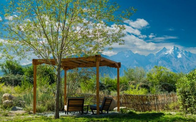 Lchang Nang Retreat-THE HOUSE OF TREES-Nubra Valley