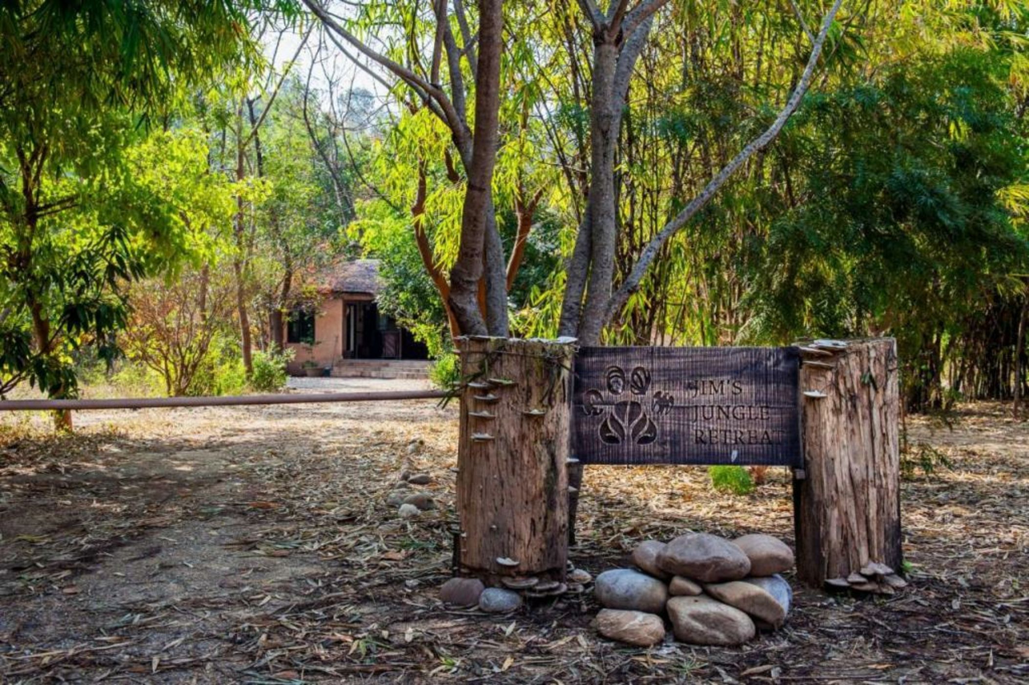 Jim's Jungle Retreat