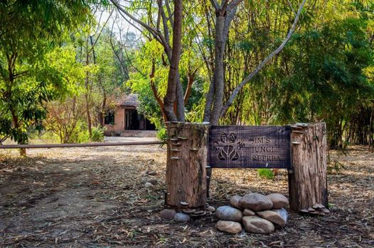 Jim's Jungle Retreat