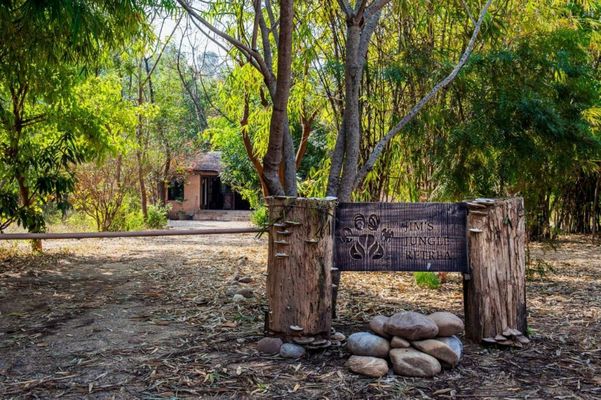 Jim's Jungle Retreat