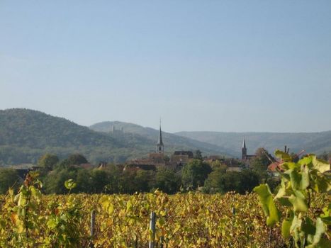 Chambre d'hôtes La Forestière