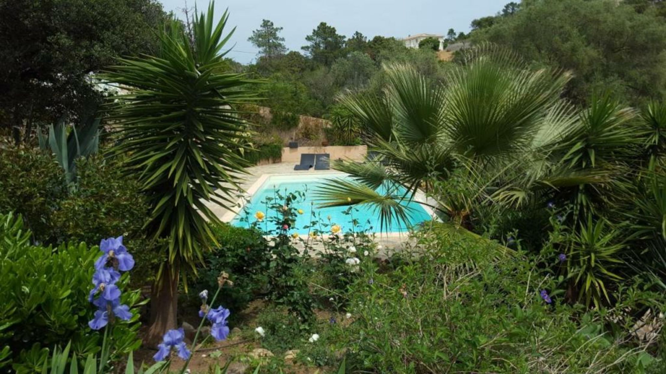 Villa Mimosa