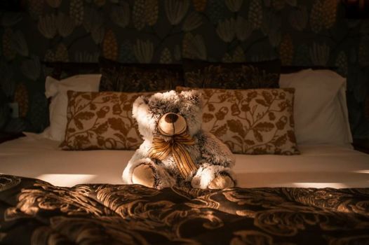 The Salty Monk Bed & Breakfast