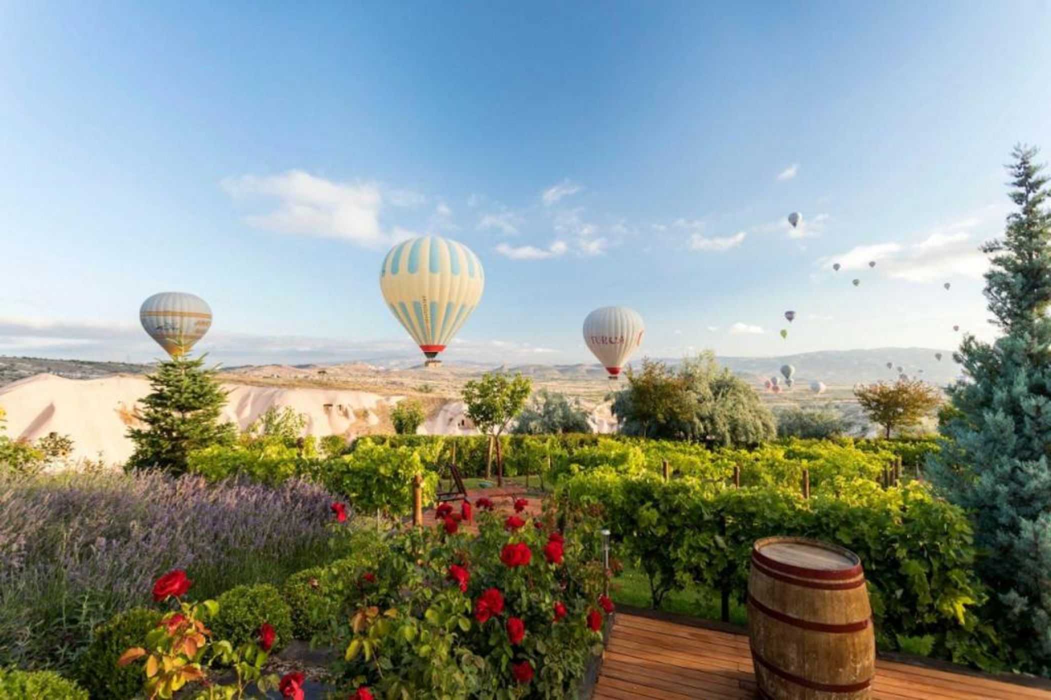 Ariana Sustainable Luxury Lodge - Special Category - Cappadocia