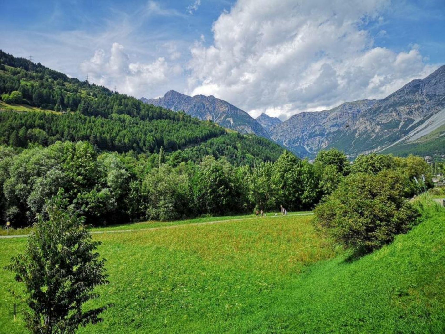 Alpi & Golf Hotel