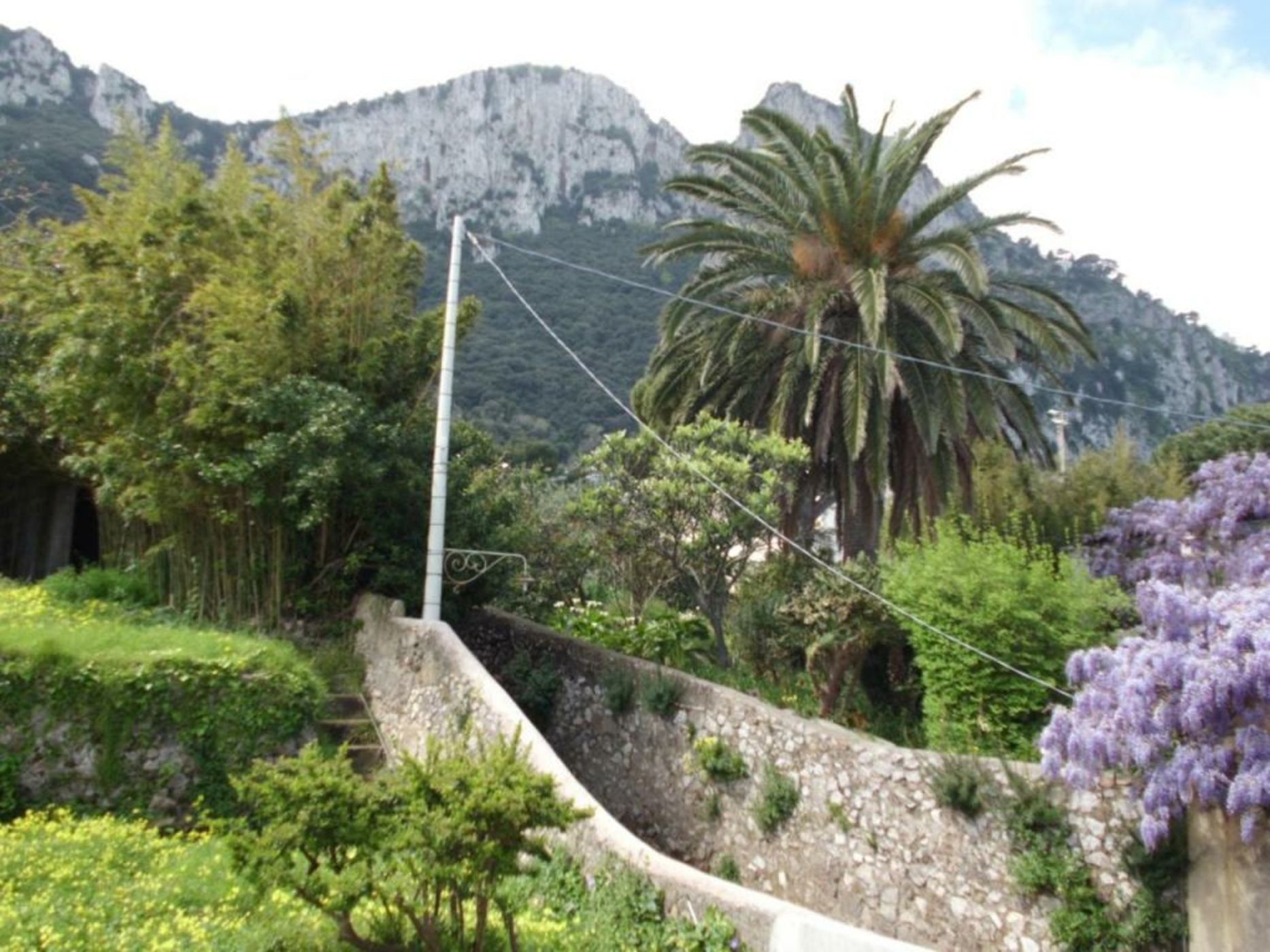 Capri Inn