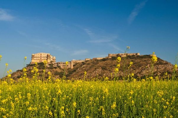 Neemrana's - Tijara Fort Palace