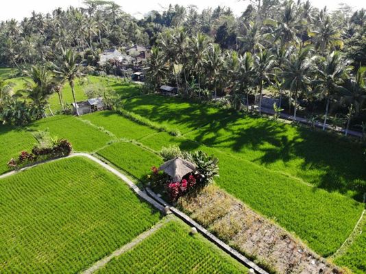 MATHIS Retreat Ubud