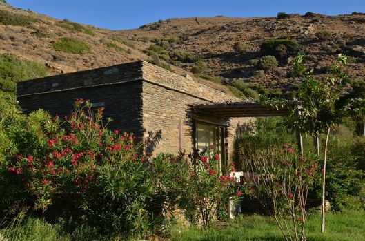 Onar Andros