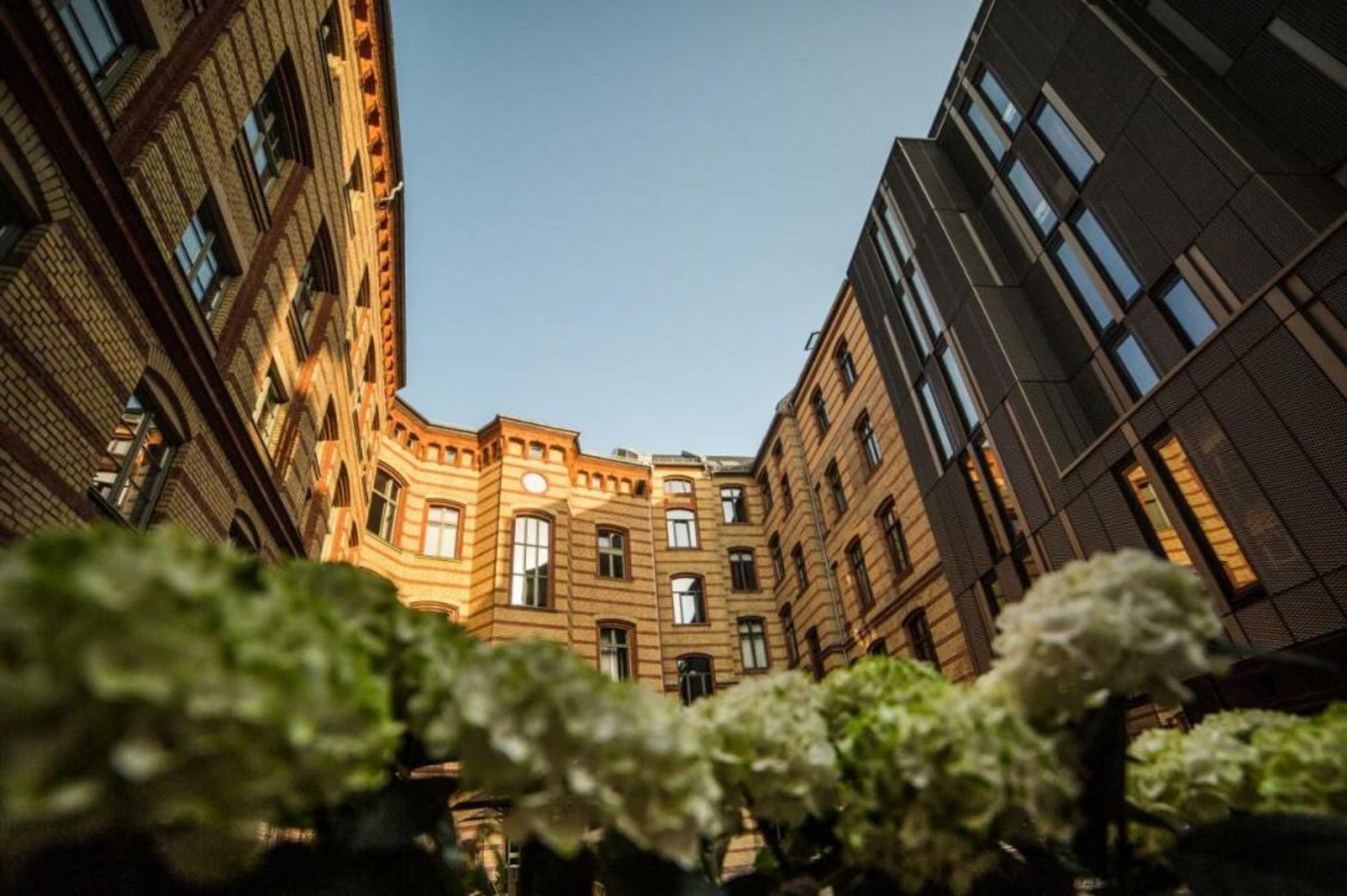 The Weinmeister Berlin-Mitte - Adults Only