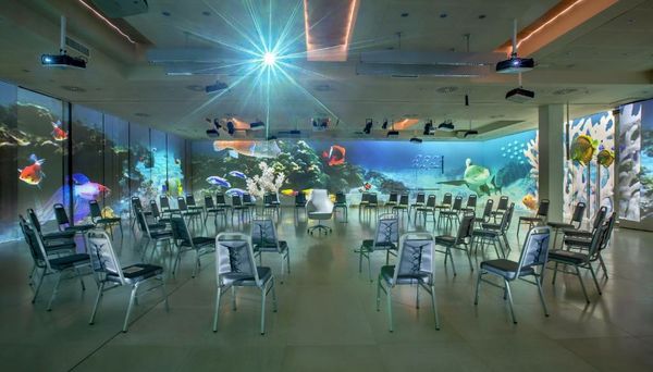 Enterprise Hotel Design & Boutique