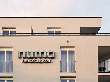 Numa Berlin Boxer