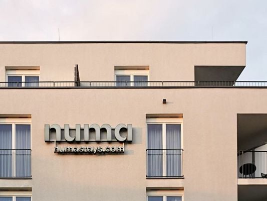 Numa Berlin Boxer