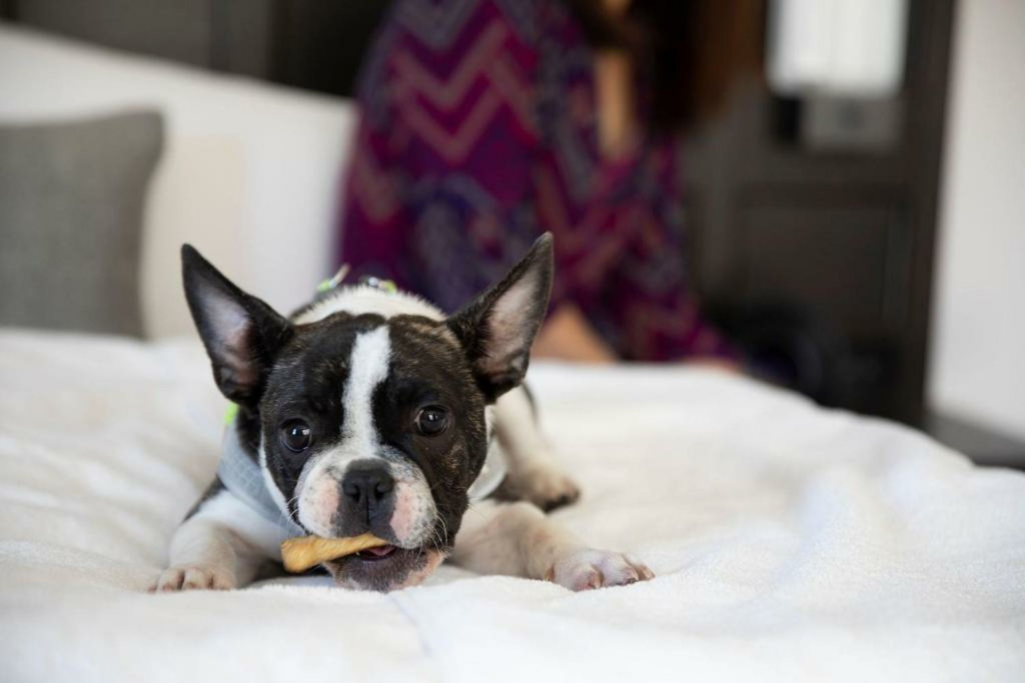 The Clift Royal Sonesta Hotel