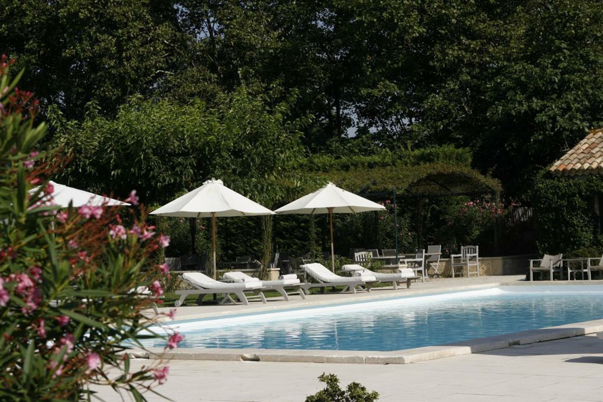 Mas De Peint - Les Collectionneurs