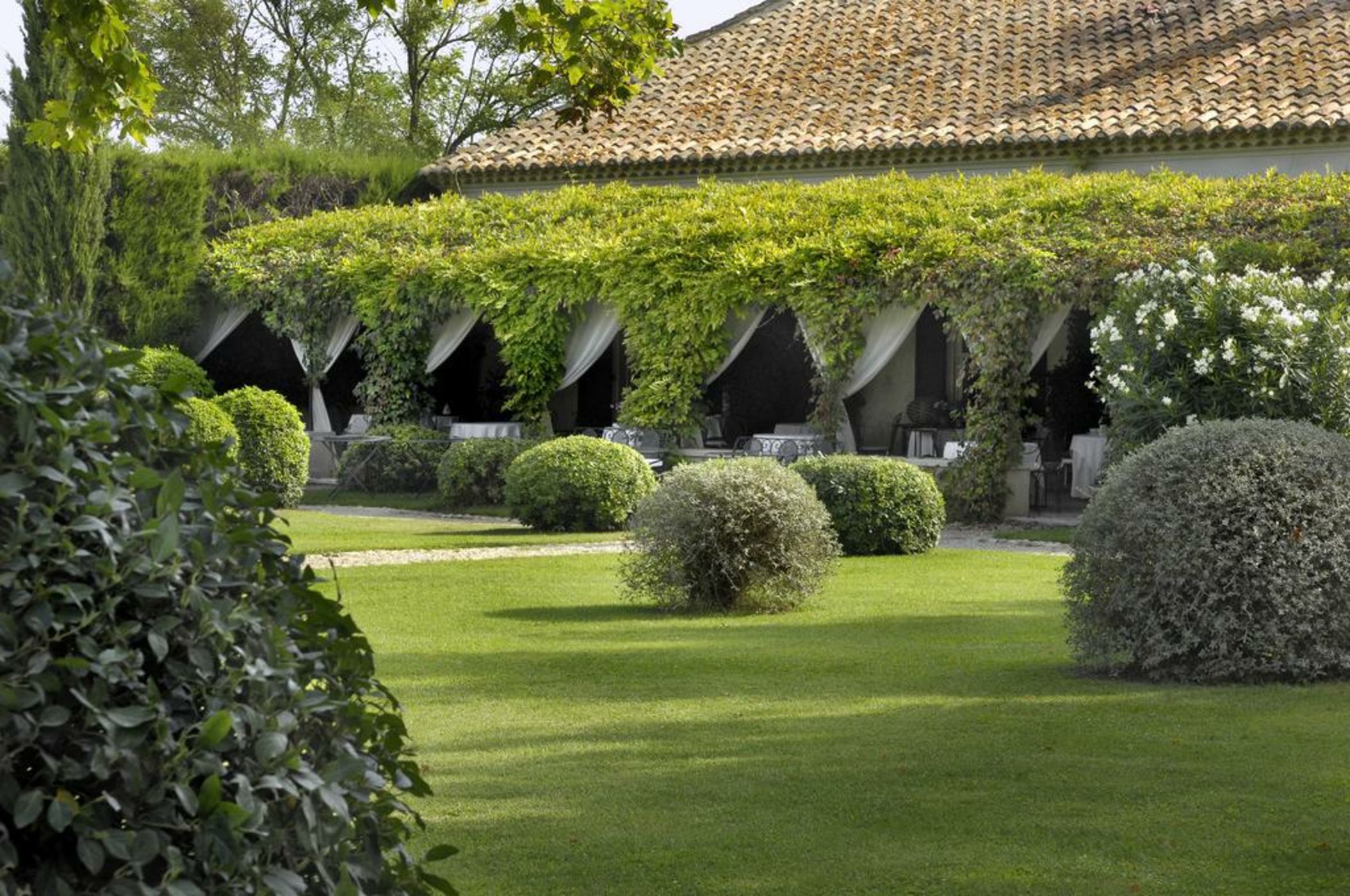 Mas De Peint - Les Collectionneurs