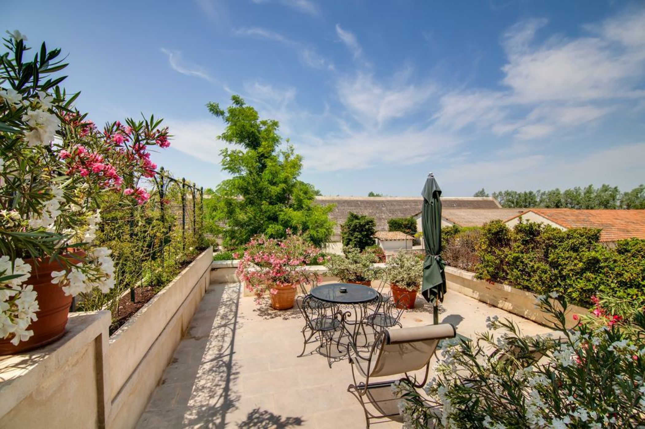 Mas De Peint - Les Collectionneurs