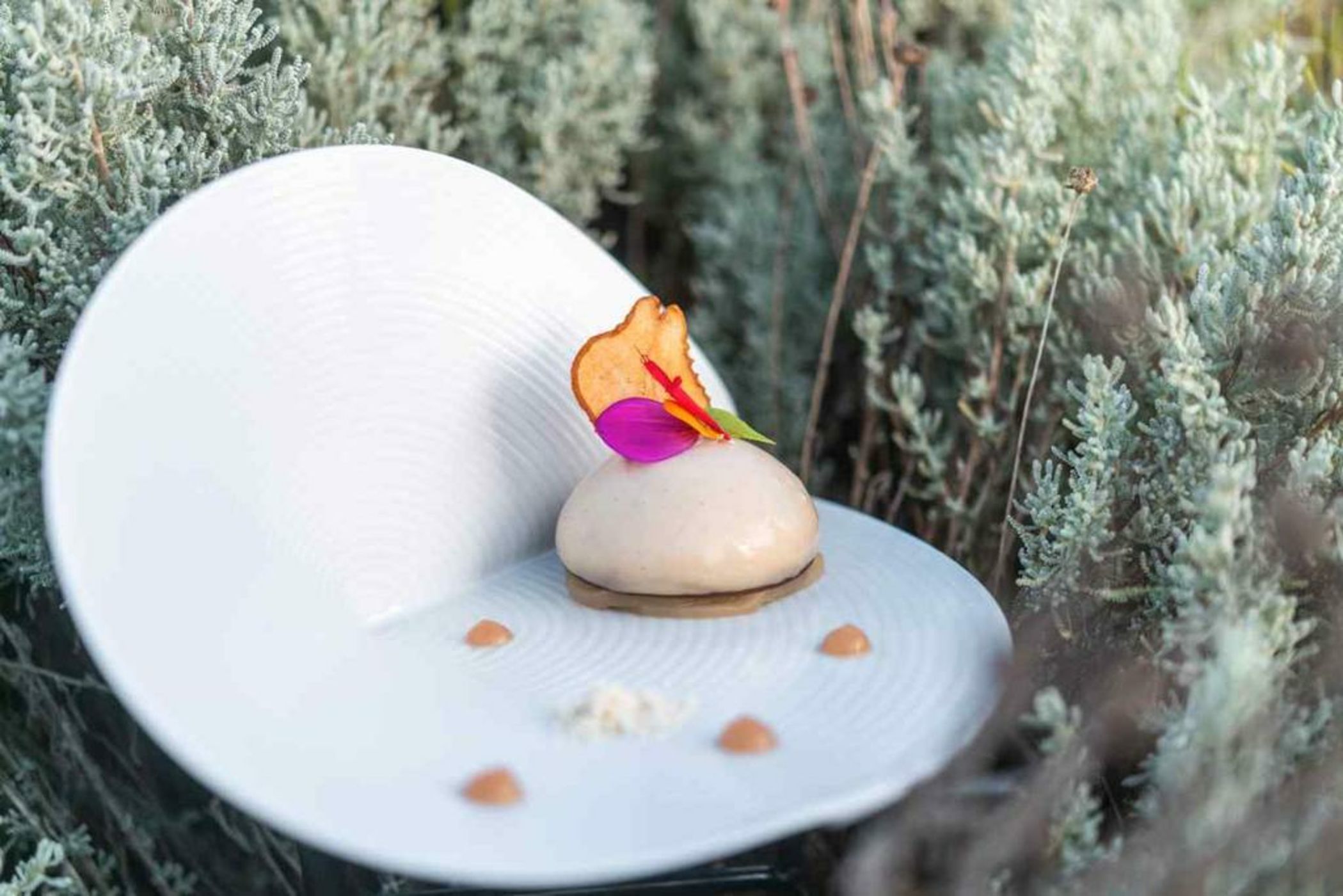 La Gree Des Landes - Eco-Hotel-Spa Yves Rocher