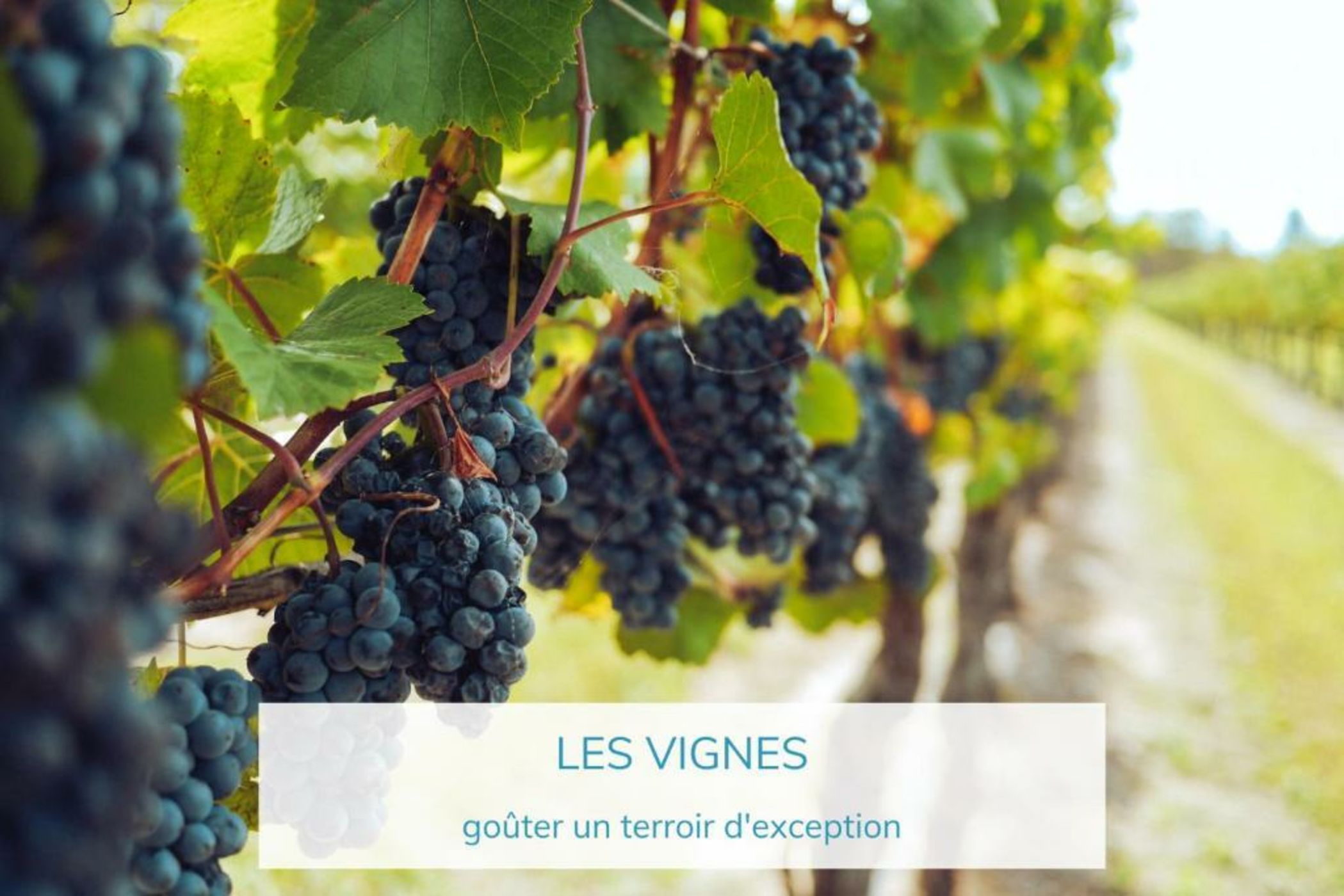 Hôtel La Tartane Saint-Tropez